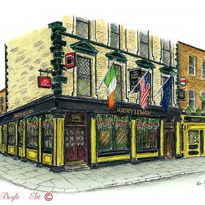 Dublin Pub -  The Hairy Lemon , Dublin, Ireland