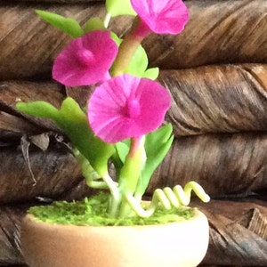 May include: A miniature potted plant with vibrant pink flowers, green leaves, and a light brown pot. The flowers are in full bloom, and the pot is filled with green moss. The background is a woven brown texture.