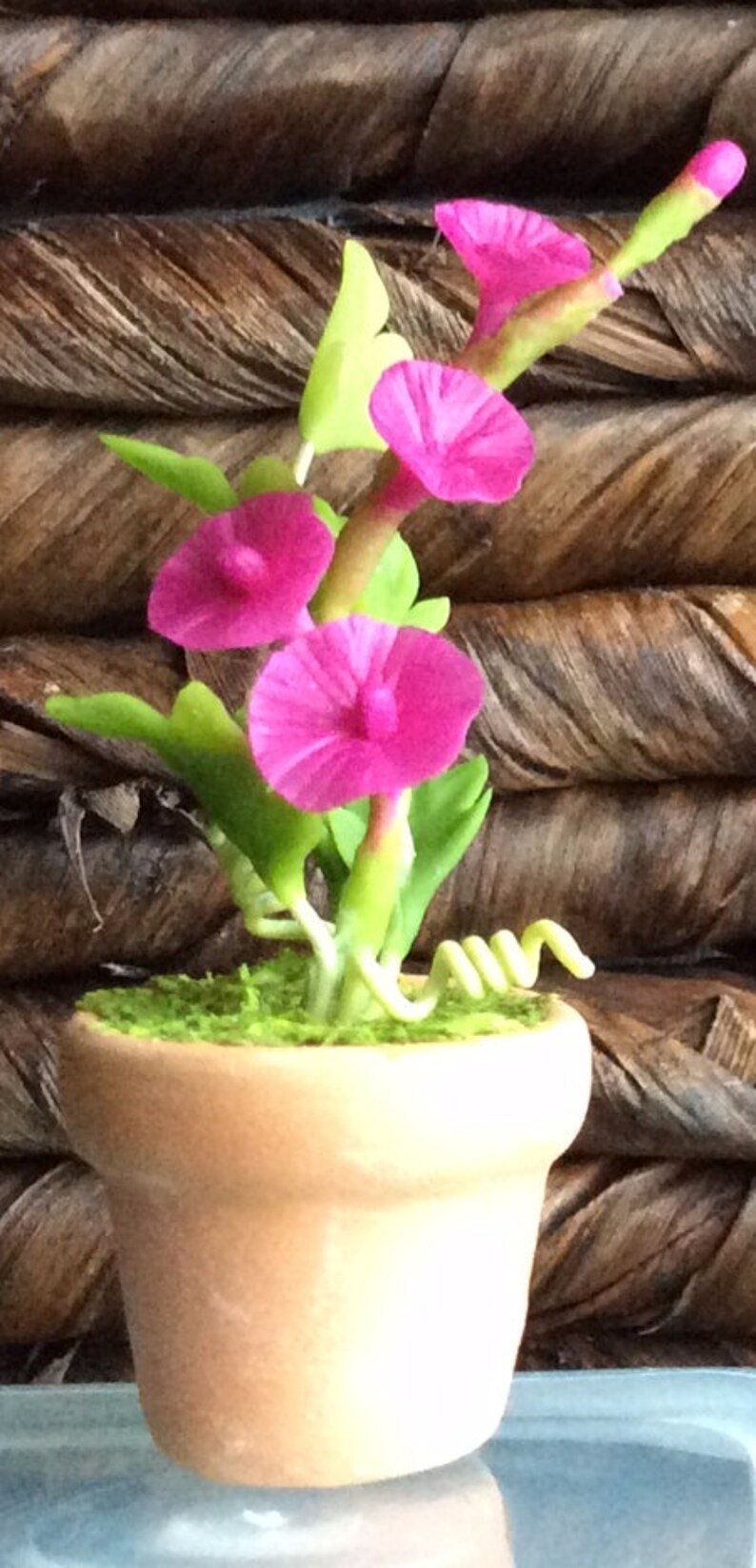 May include: A miniature potted plant with vibrant pink flowers, green leaves, and a light brown pot. The flowers are in full bloom, and the pot is filled with green moss. The background is a woven brown texture.