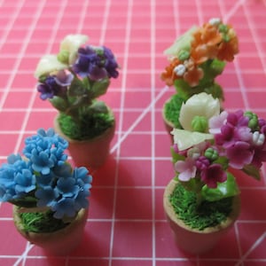 May include: Four miniature potted plants with colourful flowers. The plants are in brown pots and have green leaves. The flowers are blue, purple, pink, and orange.