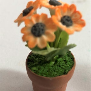 May include: A small terracotta pot with green moss and a cluster of orange flowers with black centers.