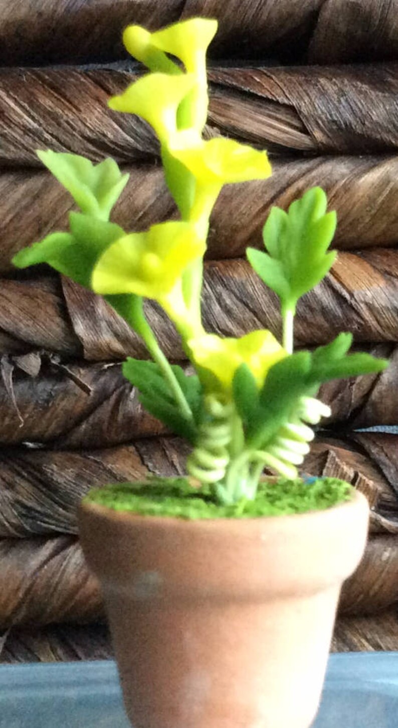 May include: A miniature potted plant with bright yellow flowers and green leaves. The plant is in a small, terracotta-colored pot filled with green moss. The background is a woven, brown material.