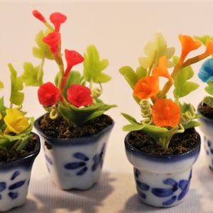 Puede incluir: Cuatro plantas en maceta en miniatura con flores coloridas en tonos amarillos, rojos, naranjas y azules. Las pequeñas macetas de cerámica son blancas con diseños florales azules. Las plantas están sobre un fondo blanco.
