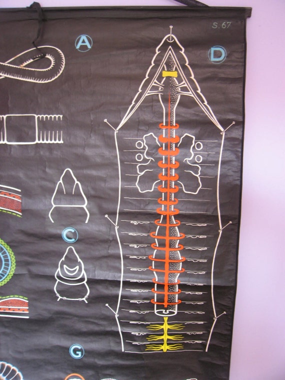 Chalk Plate Charts