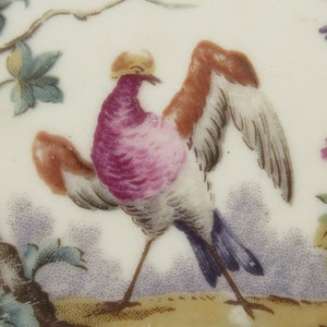 Limoges Plate, Decorative Limoges Porcelain Plate, Hand painted Colourful Bird with Beautiful Gold Gilt by ROYALE LIMOGES, Vintage French image 3