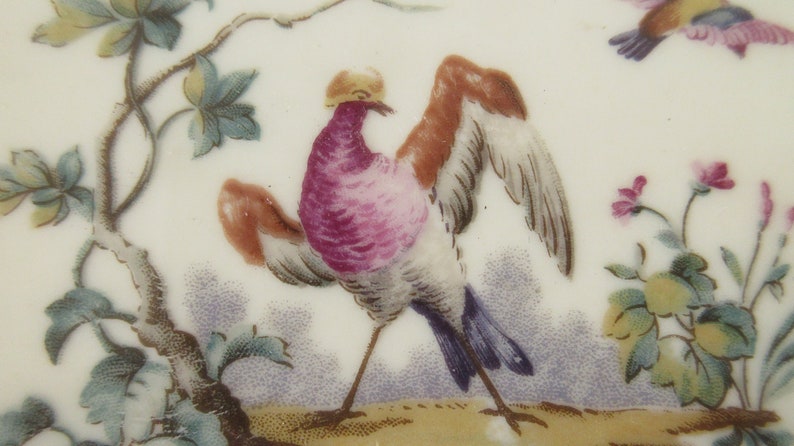 Limoges Plate, Decorative Limoges Porcelain Plate, Hand painted Colourful Bird with Beautiful Gold Gilt by ROYALE LIMOGES, Vintage French image 3