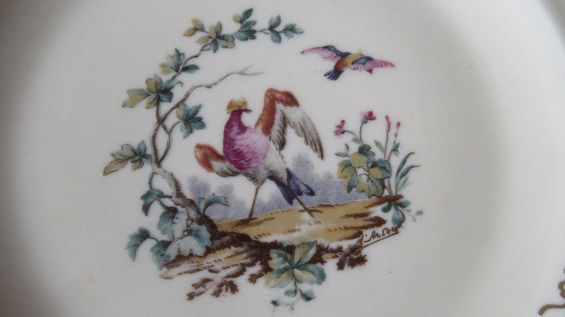 Limoges Plate, Decorative Limoges Porcelain Plate, Hand painted Colourful Bird with Beautiful Gold Gilt by ROYALE LIMOGES, Vintage French image 1