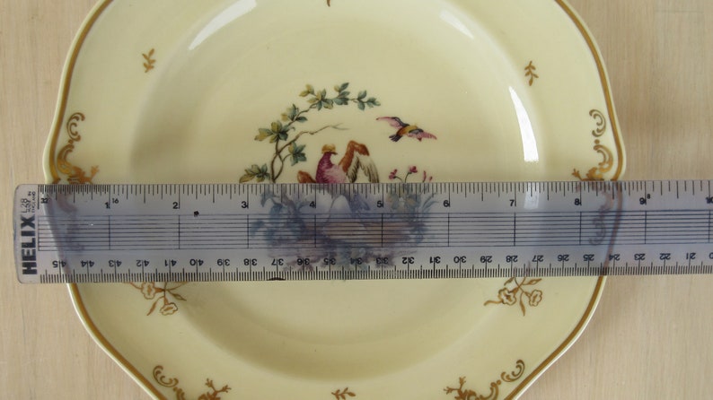 Limoges Plate, Decorative Limoges Porcelain Plate, Hand painted Colourful Bird with Beautiful Gold Gilt by ROYALE LIMOGES, Vintage French image 10