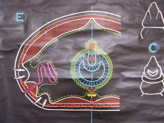 Chalk Plate Charts