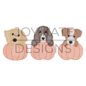 May include: Three dogs are peeking out of orange pumpkins. The dogs are a brown and white dog, a brown dog, and a light brown dog.