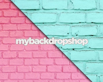 Combo - Two 5ft x 5ft Vinyl or Poly Photography Backdrop and Floor Drop - Turquoise Blue Brick / Bubblegum Pink Brick - Items 586 & 421