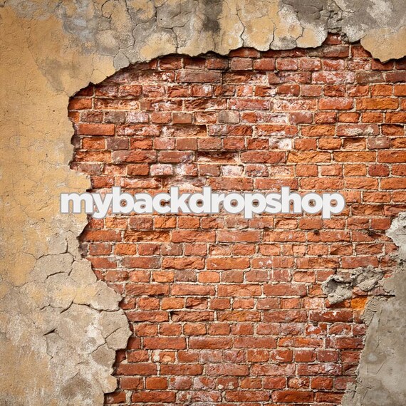 8ft x 8ft Bright Red Brick Studio Photography Backdrop Backdrop Express Wrinkle Free Cloth 8ft x 8ft Bright Red Brick Studio Photography Backdrop Backdrop Express Wrinkle Free Cloth