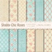 Shabby Chic Digital Paper:' SHABBY TEAL BEIGE' Floral Vintage Background with roses for scrapbooking, invites, cards