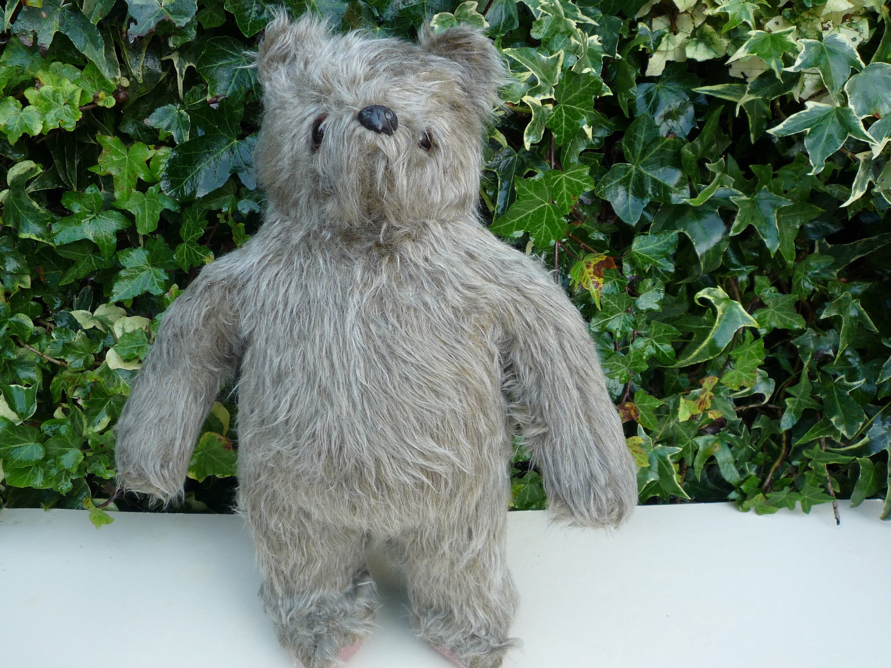 aunt lucy teddy bear