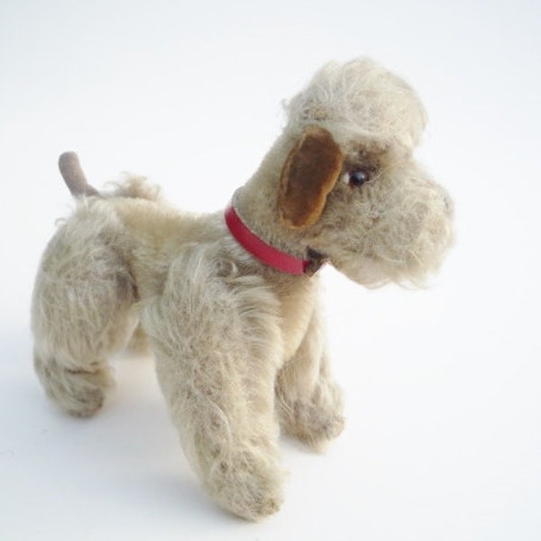 Steiff Dog "Snobby" the Poodle with button in ear and red collar 5.5 inches, 14 cm, Vintage Steiff toy 1950's to 1960's