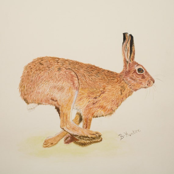 Giclee Wydruku Zająca Skaczącego Brązowego Zająca Sztuki Wiejskiej Biegnącej Zająca Akwareli Hare