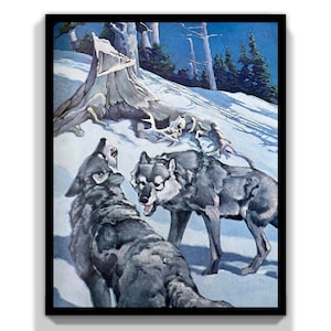 1950s Francis Lee Jacques Natur Gemälde Drucke auf dickem Papier, keine Repros! Wandkunst Geschenk für Jäger, Maultier Deer, Timber Wolf, Enten