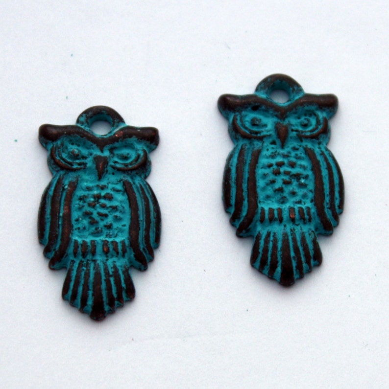 May include: Two turquoise blue owl charms with brown accents. The owls have a detailed design and are perfect for jewelry making or crafting.