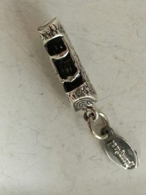Disneyland Splash Mountain Sterling Charm 1980s Sp
