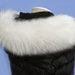 see more listings in the Real Fur Trims (SKIN) section