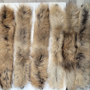 BY ORDER 60x2 cm Real Raccoon Fur Collar, Fur Trim for Hoodies, Raccoon Fur Collar, Fur Scarf, Fur Ruff, Raccoon Fur Hood, Raccoon Fur