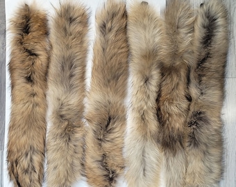 BY ORDER 60x2 cm Real Raccoon Fur Collar, Fur Trim for Hoodies, Raccoon Fur Collar, Fur Scarf, Fur Ruff, Raccoon Fur Hood, Raccoon Fur