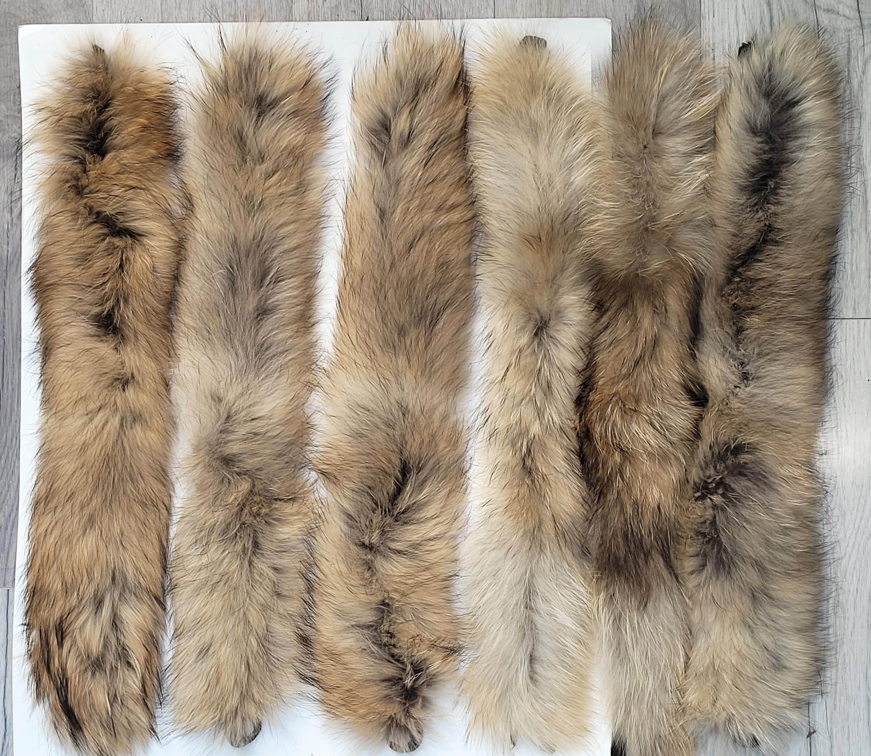Coyote Fox Fur Trim Fur Ruff For Parka BY ORDER 60x2 Cm Real