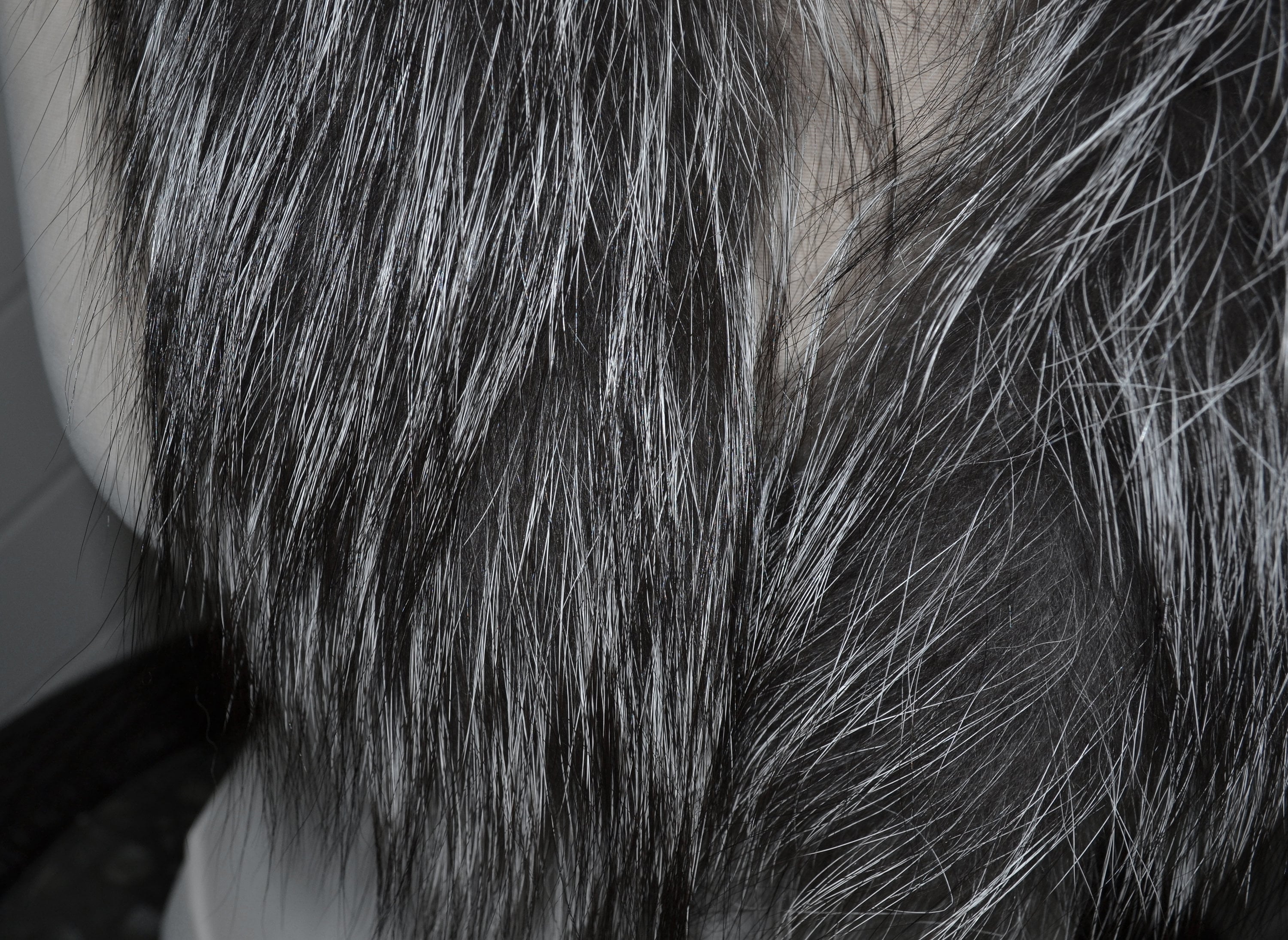 BY ORDER, Real Silver Fox Fur Trim Hood, Fur Collar Trim, Fox Fur ...