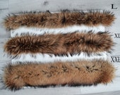 BY ORDER XXL Extra Large Finnish Raccoon Fur Collar, Fur