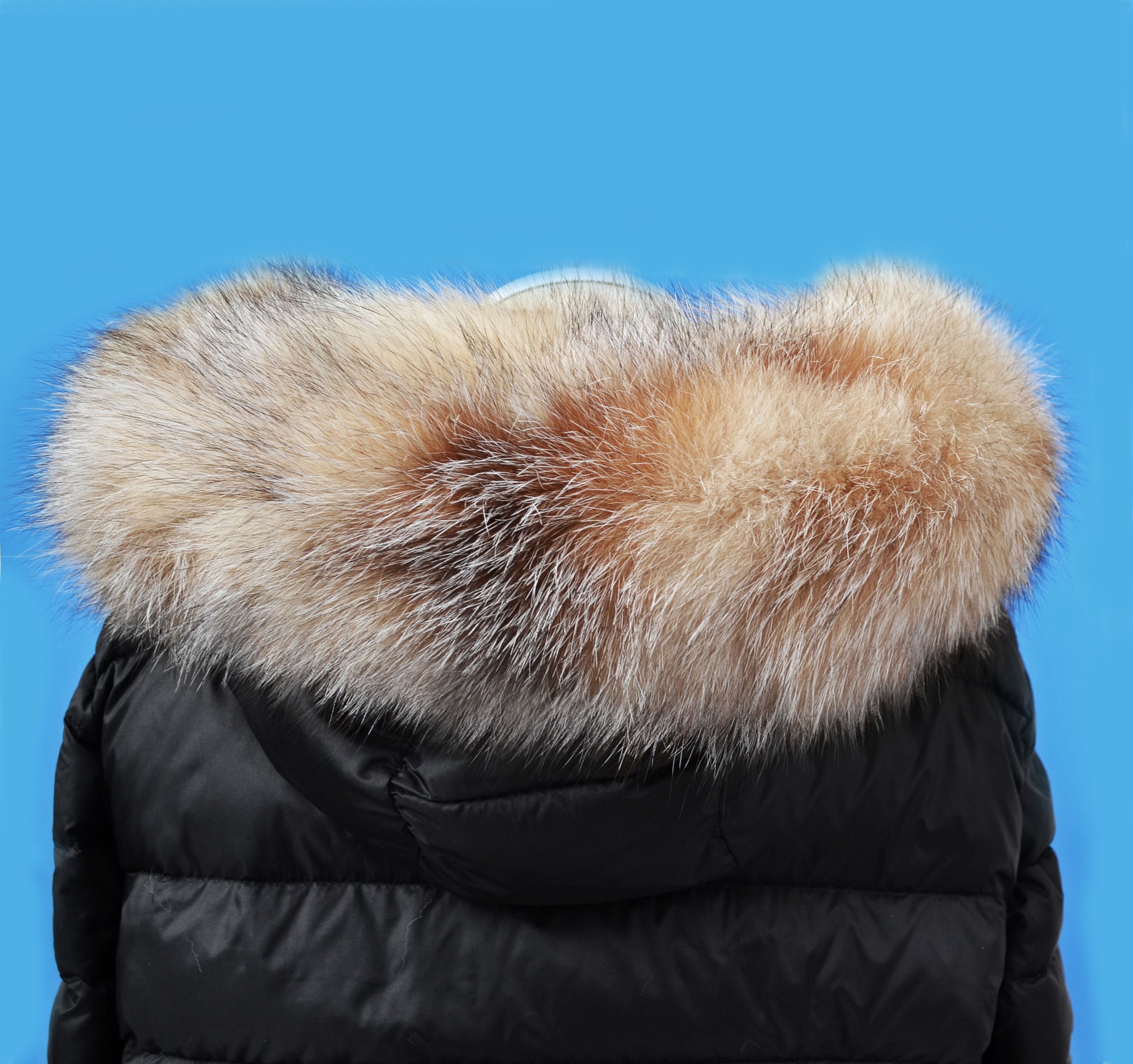 Coyote Fur Hood - Etsy