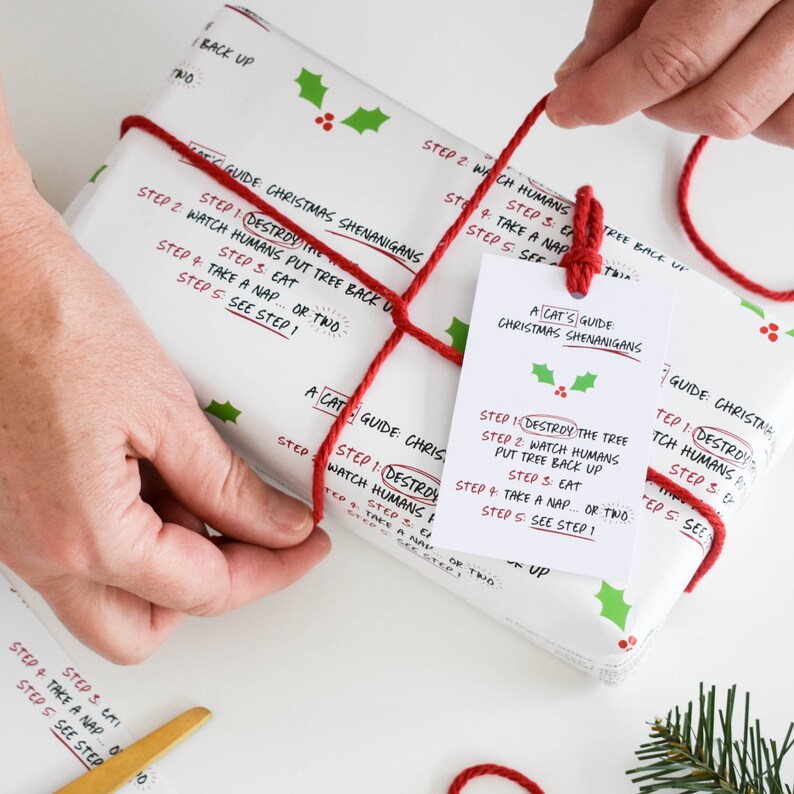 May include: A white gift box wrapped with red string and a white tag that reads "A Cat's Guide Christmas Shenanigans". The tag has a red holly berry design. The gift box is wrapped in white paper with a red holly berry design and the text "A Cat's Guide Christmas Shenanigans" printed on it. The text on the gift box includes instructions for a cat's Christmas shenanigans, such as "Destroy the tree", "Watch humans put tree back up", "Eat", "Take a nap", and "See step 1".
