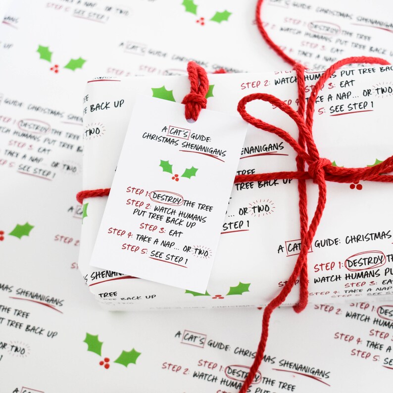 May include: A red and white gift wrapped with red twine and a tag that reads "A Cat's Guide: Christmas Shenanigans". The tag lists steps for a cat to "destroy the tree", "watch humans put tree back up", "eat", "take a nap", and "see step 1".