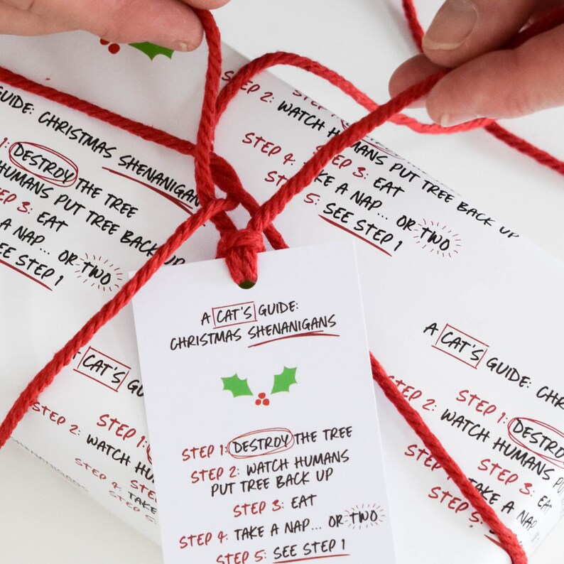 May include: A white gift tag with red string tied around it. The tag has a green holly sprig with red berries and the text "A Cat's Guide: Christmas Shenanigans". The tag lists steps for a cat to "destroy the tree", "watch humans put tree back up", "eat", "take a nap", and "see step 1".