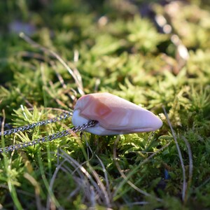 Conch Shell Necklace