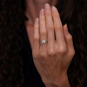 Gilded Age Two-Toned Cluster Ring with a Floral-Patterned Transitional Cut Diamond Center image 6