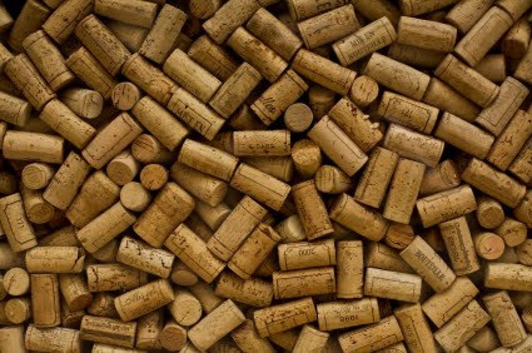 50pk of Unused Wine Corks Etsy