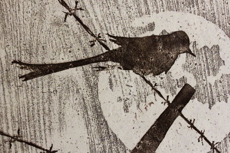 Bird on Barbed Wire Linocut/Woodblock Print image 3