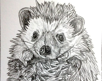 Custom Pet Portrait graphite pencil, 11x14  drawing, Dog, cat, horse, bird, exotic animal, wildlife
