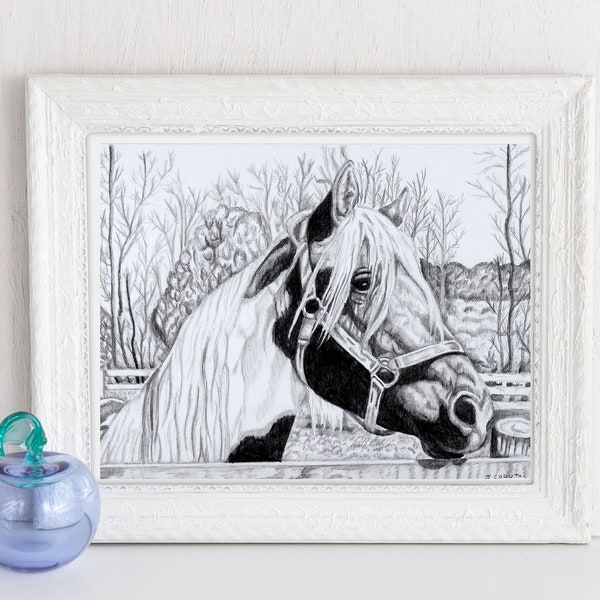 Paint horse, fine art print, from original graphite pencil. 5x7 or 8x10  wall decor, Equine, equestrian, pinto, farmhouse, farm animal