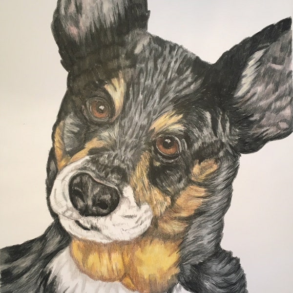 Custom Pet Portrait 16x20 Prismacolor pencil any pet! Dog painting, cat, horse, animal drawing, handpainted gift, Christmas, farm animal