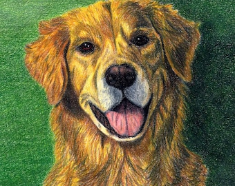 Retrato personalizado de mascota, 8x10 pulgadas, lápiz Prismacolor, cualquier mascota, pintura de perro, gato, pájaro, regalo conmemorativo