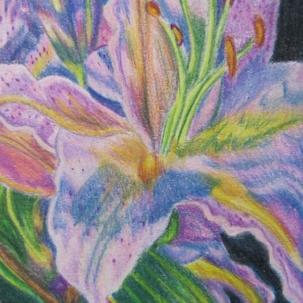 Pink Lily flower painting, original  Prismacolor pencil drawing 5x7,  Floral garden art, handpainted, one of a kind, custom floral art