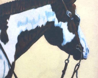 Custom Pet Portrait 5x7, Prismacolor pencil, Handmade dog, cat, horse, bird, fish,small art