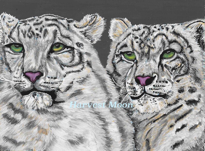 Download Snow Leopard Original Painting Jungle Wildlife Illustration Big Cat Art Winter Black White Gray 6x8 Spotted Cats Watercolor Gouache Painting Art Collectibles Delage Com Br