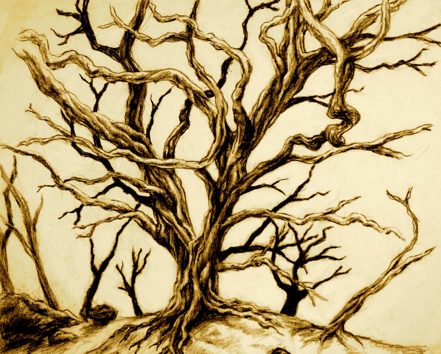 pic Arbol Sin Hojas Dibujo A Lapiz etsy