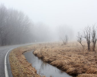 Fog- Fine Art Landscape Photograph