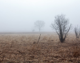 Fog- Fine Art Landscape Photograph