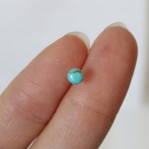 orecchino cartilagine turchese, minuscolo orecchino a perno a pois, minuscolo trago blu, perno al naso, anello al naso, orecchino a perno cartilagine, minuscoli borchie
