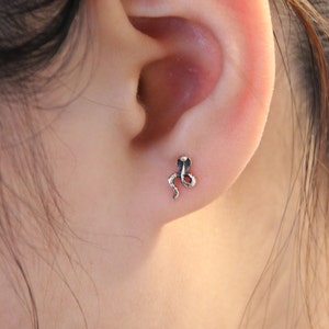 Pendientes pequeños de plata de ley cobra Stud, pendientes de semental de serpiente, pendientes delicados, pendiente de cartílago, serpiente de plata, cobra de plata, serpiente de serpiente