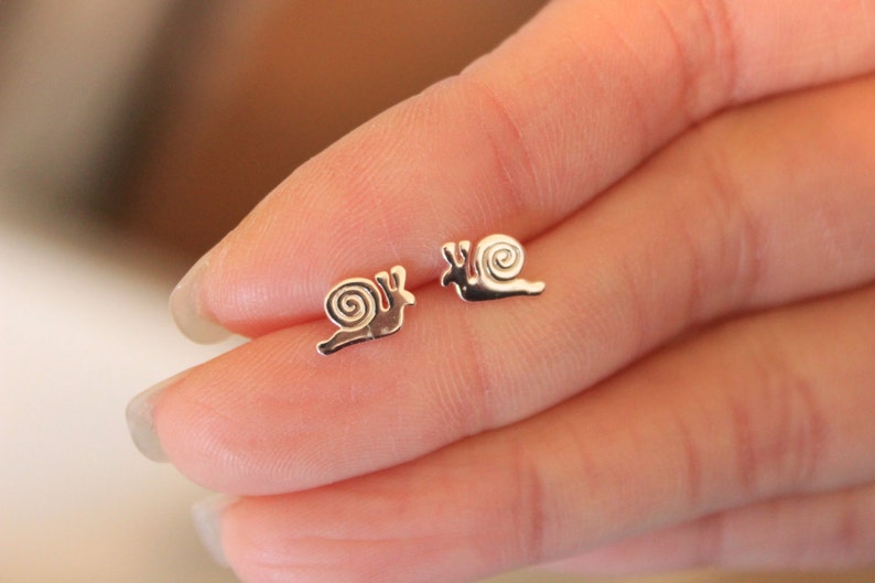 May include: A pair of silver snail stud earrings. The snails are small and delicate, with a simple design.